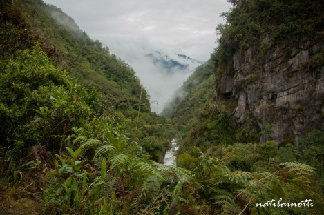 trekking-choro-bolivia-nati-bainotti (38)